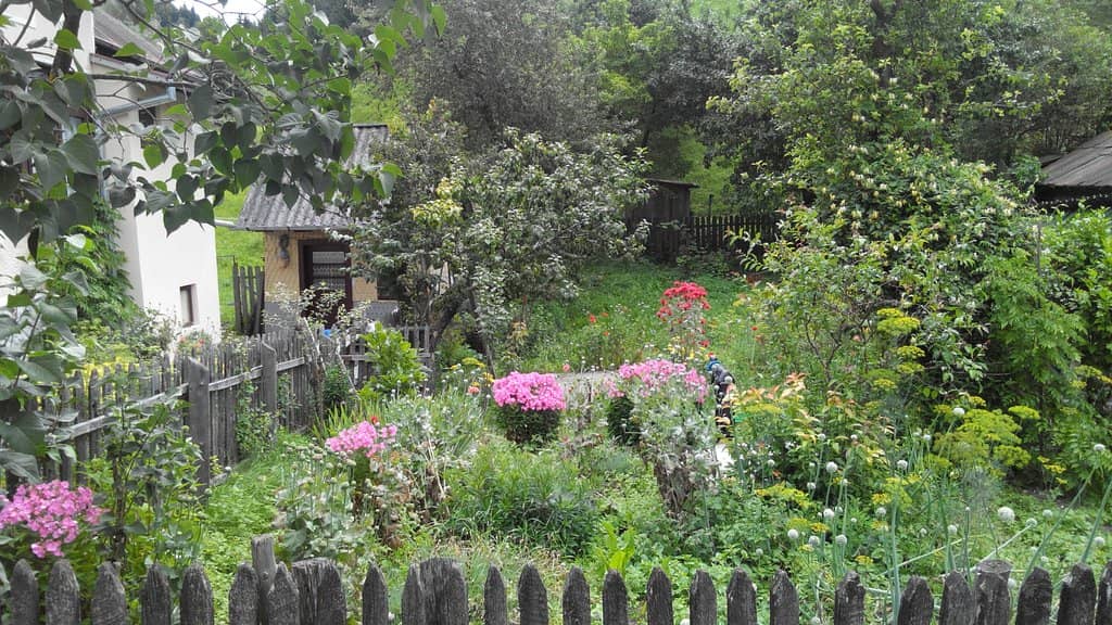 Piatra Craiului Ridge
