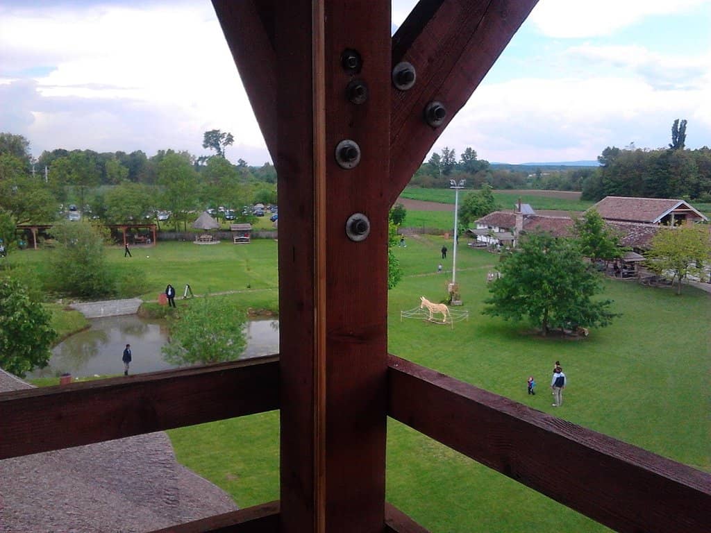 Vertical photo