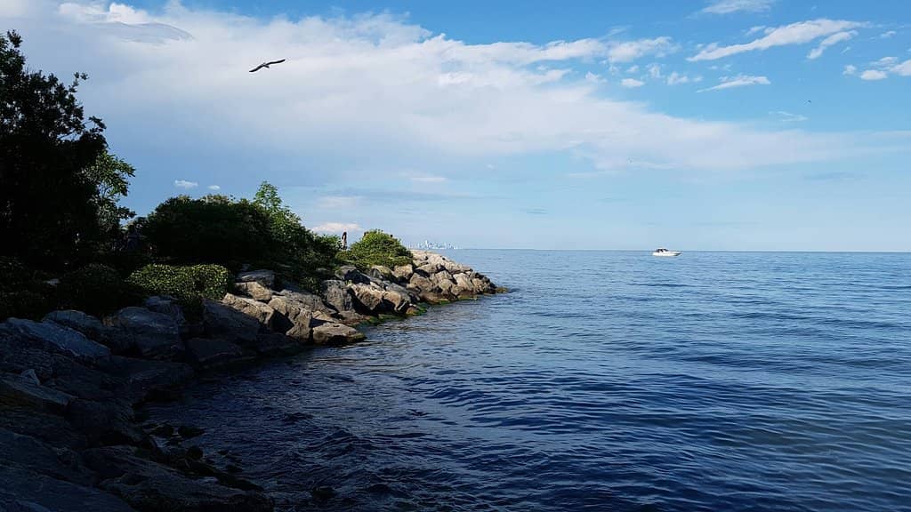 Rattray Marsh Conservation Area Trails
