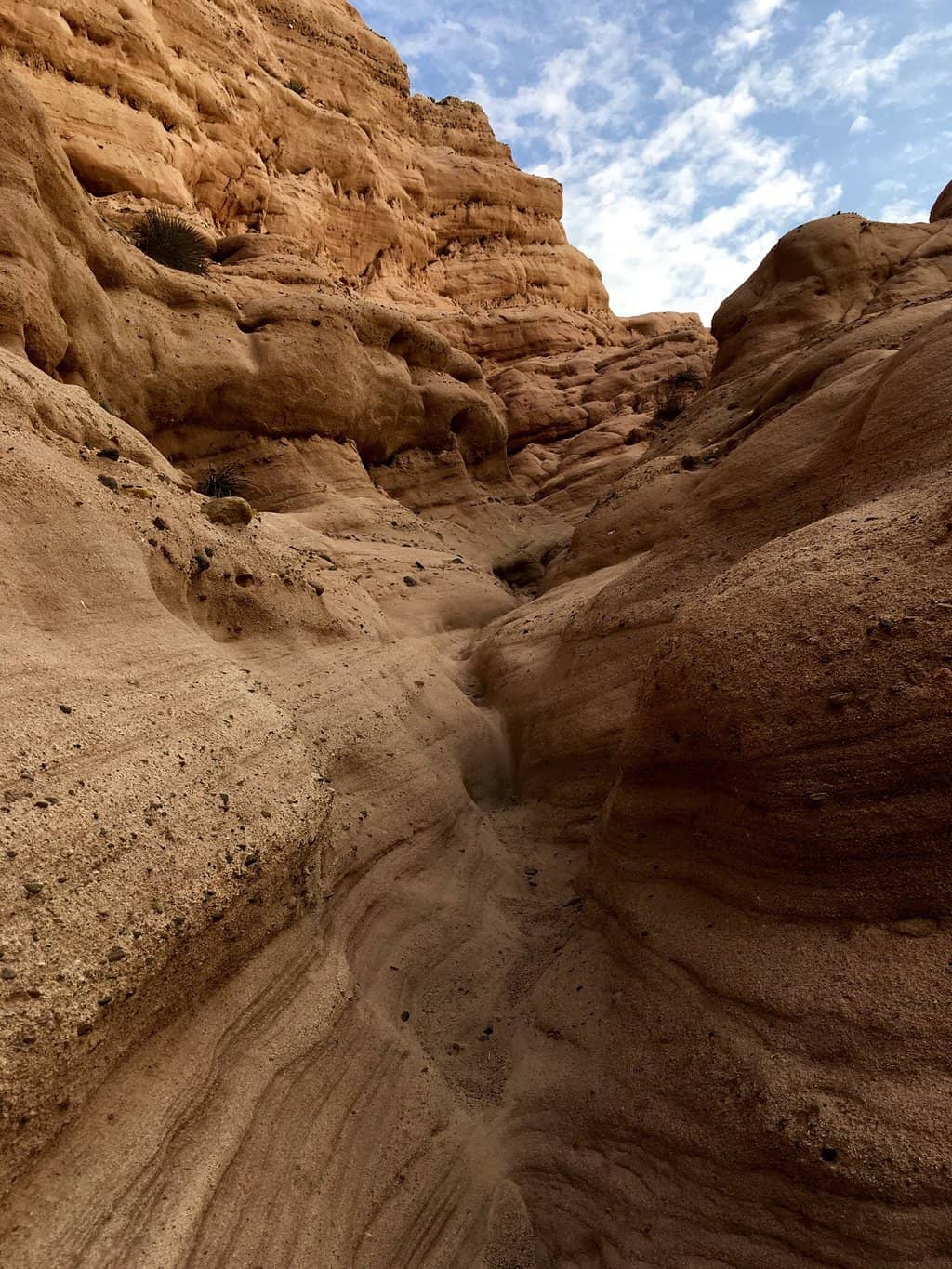 Red Rock Canyon