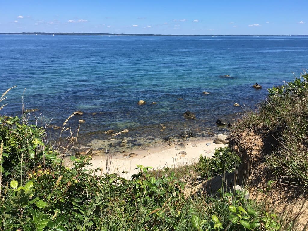 Beach view from the white trail.