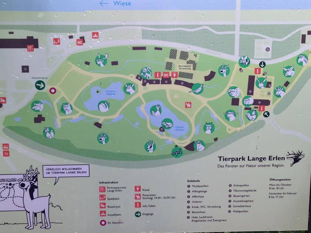 Diverse Animal Encounters