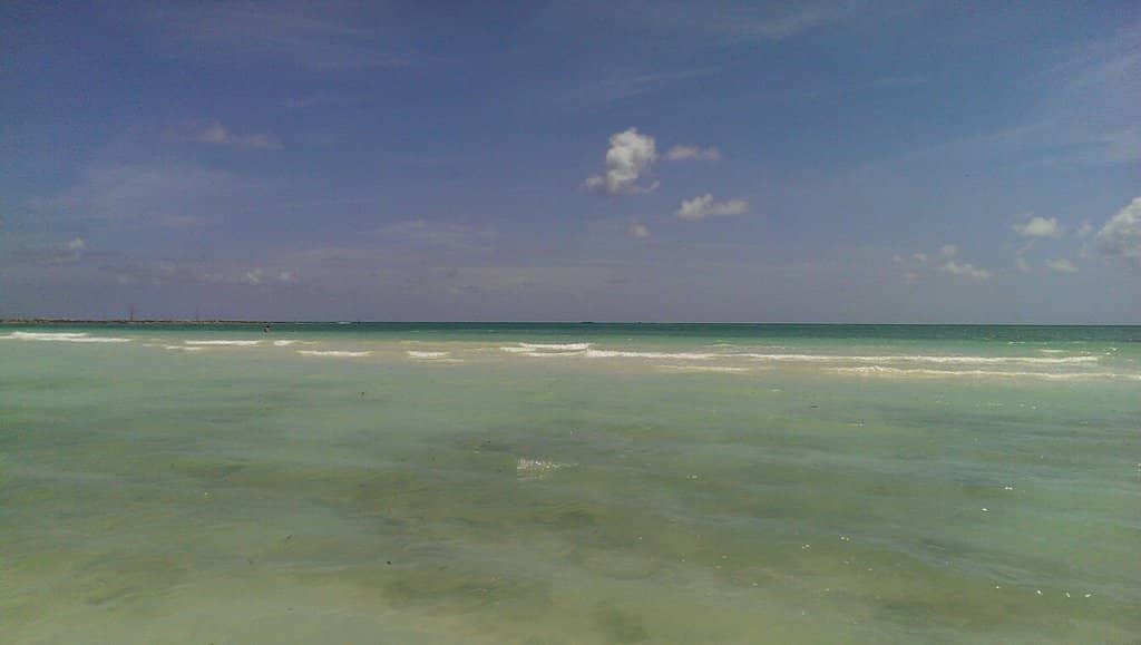 Crystal Clear Waters