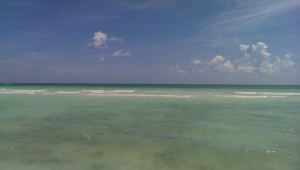 Expansive Sandy Expanze