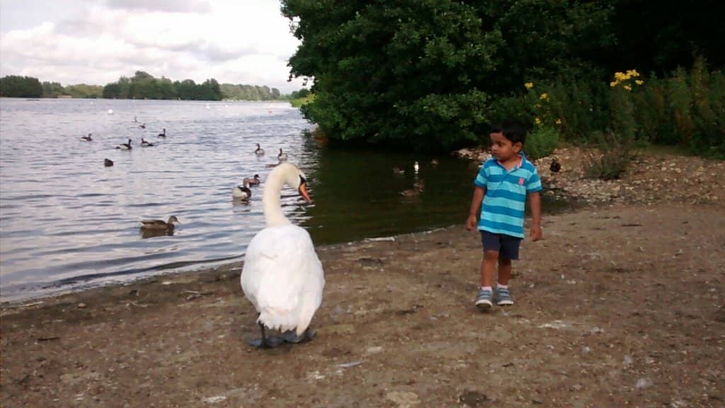 Flint Knapping Woods