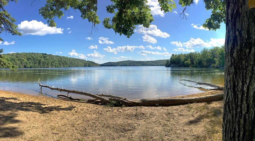 A view of Sterling Lake- about half way through the Sterling Lake Loop Trail.
