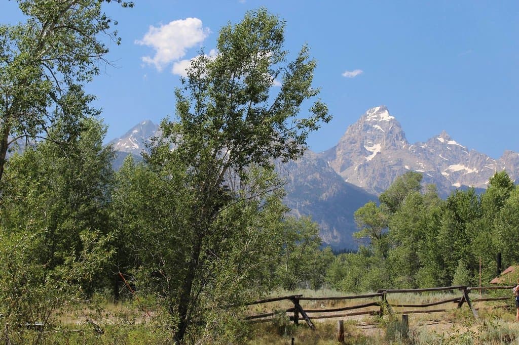 Menor's Historical Trail - A view from Maud's cabin