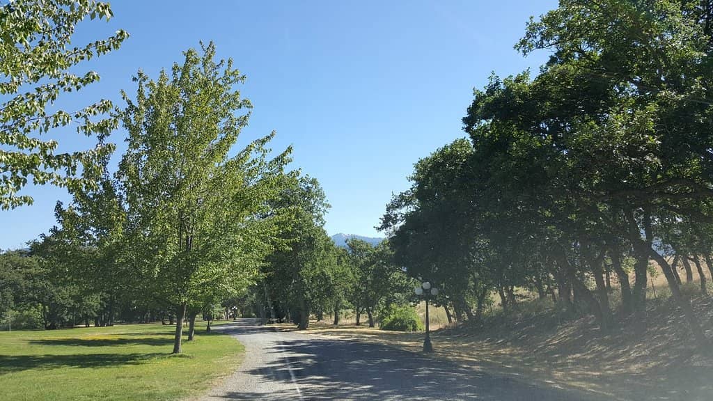 Panoramic Vineyard Views