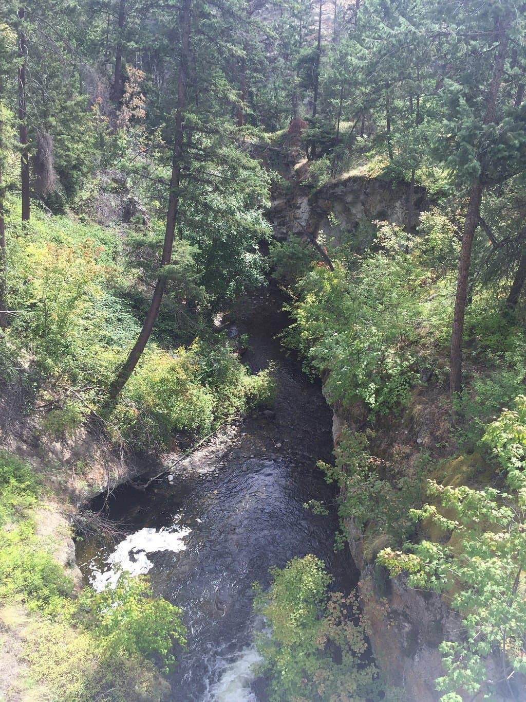 Beautiful scenery and the best walking trails in West Kelowna.