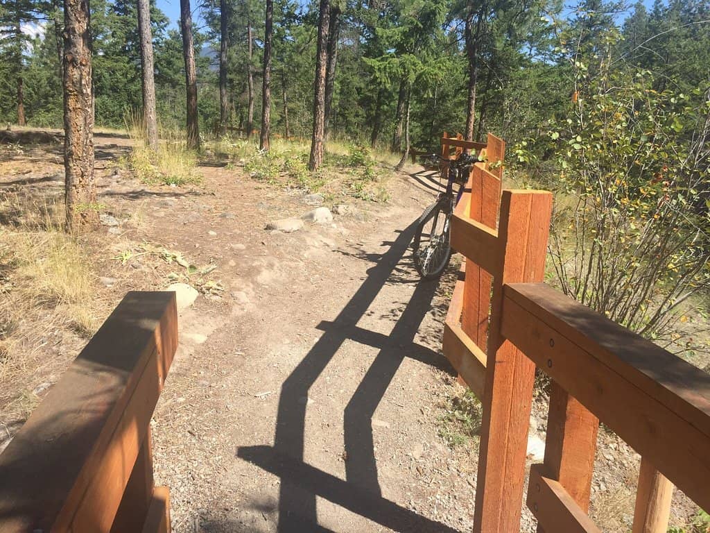 Salmon Spawning Creek
