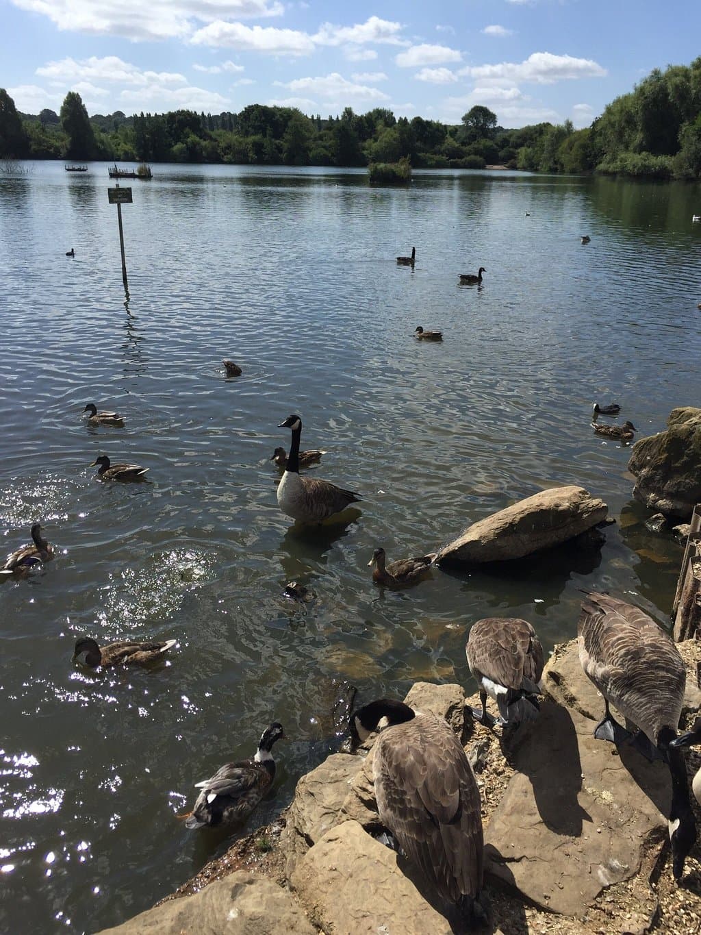 Nature Discovery Centre Thatcham
