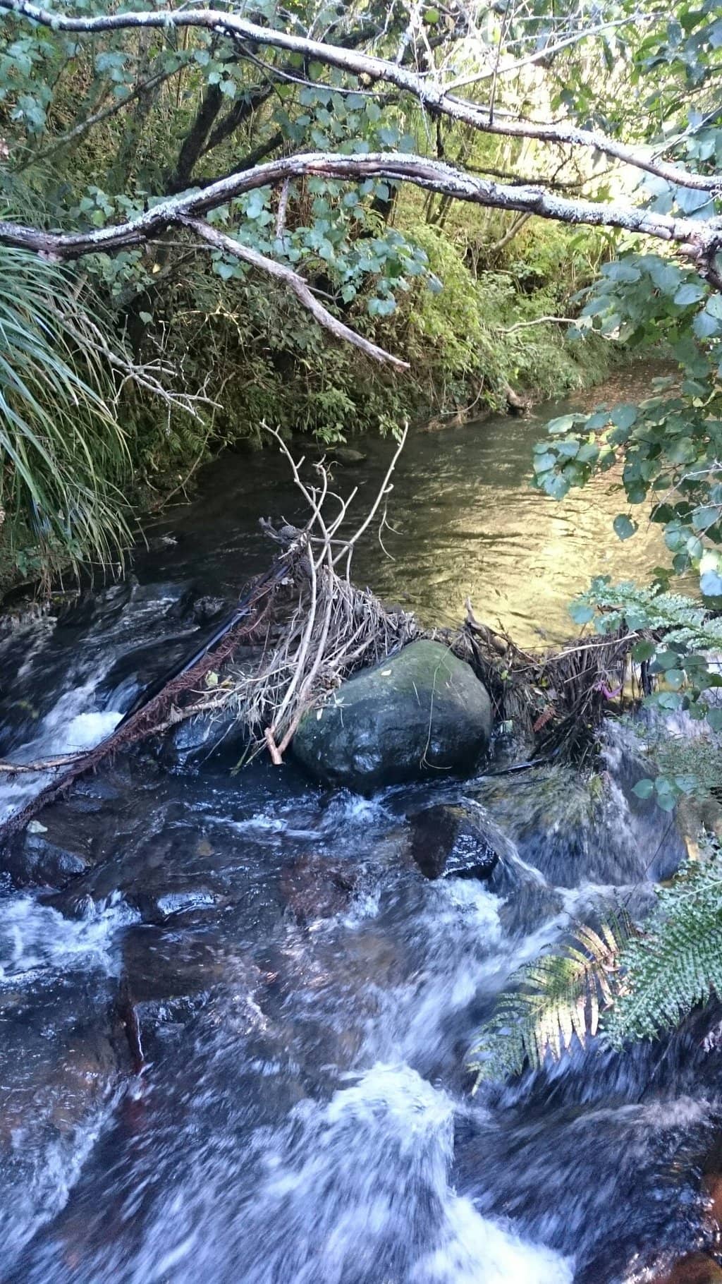 Sculpture Trail