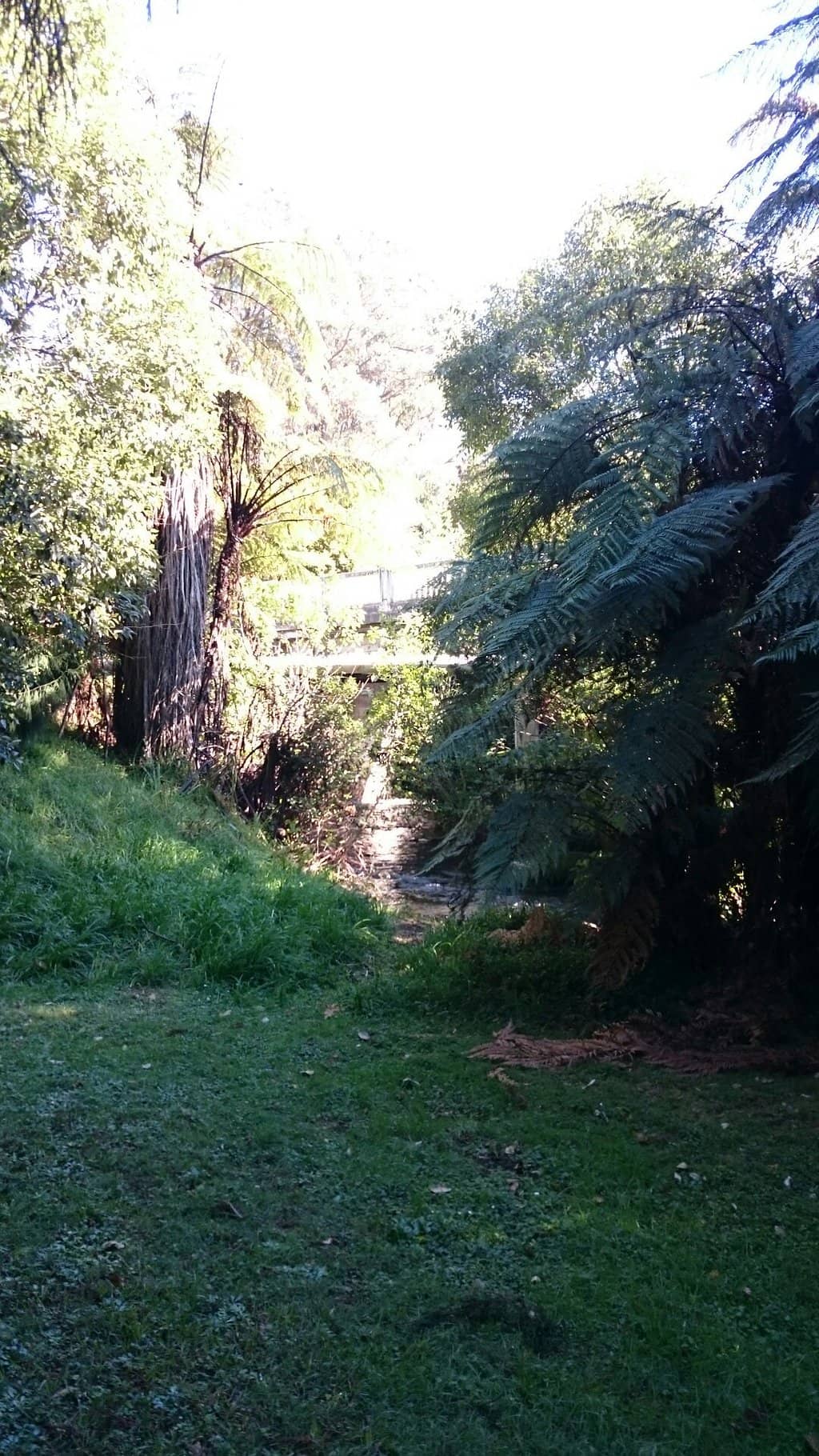 Native Bushland