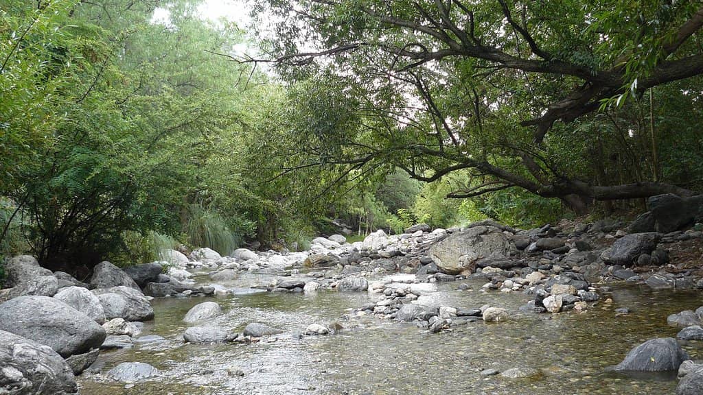 Natural Border Views