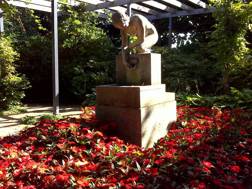 Diverse Floral Displays