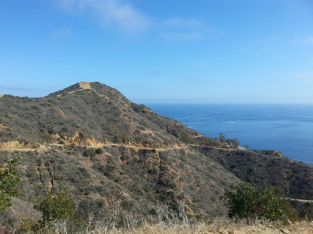 Looking back at trail mile one