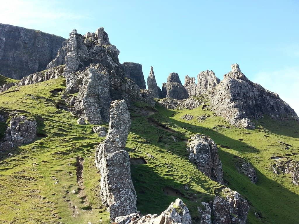 The Needle