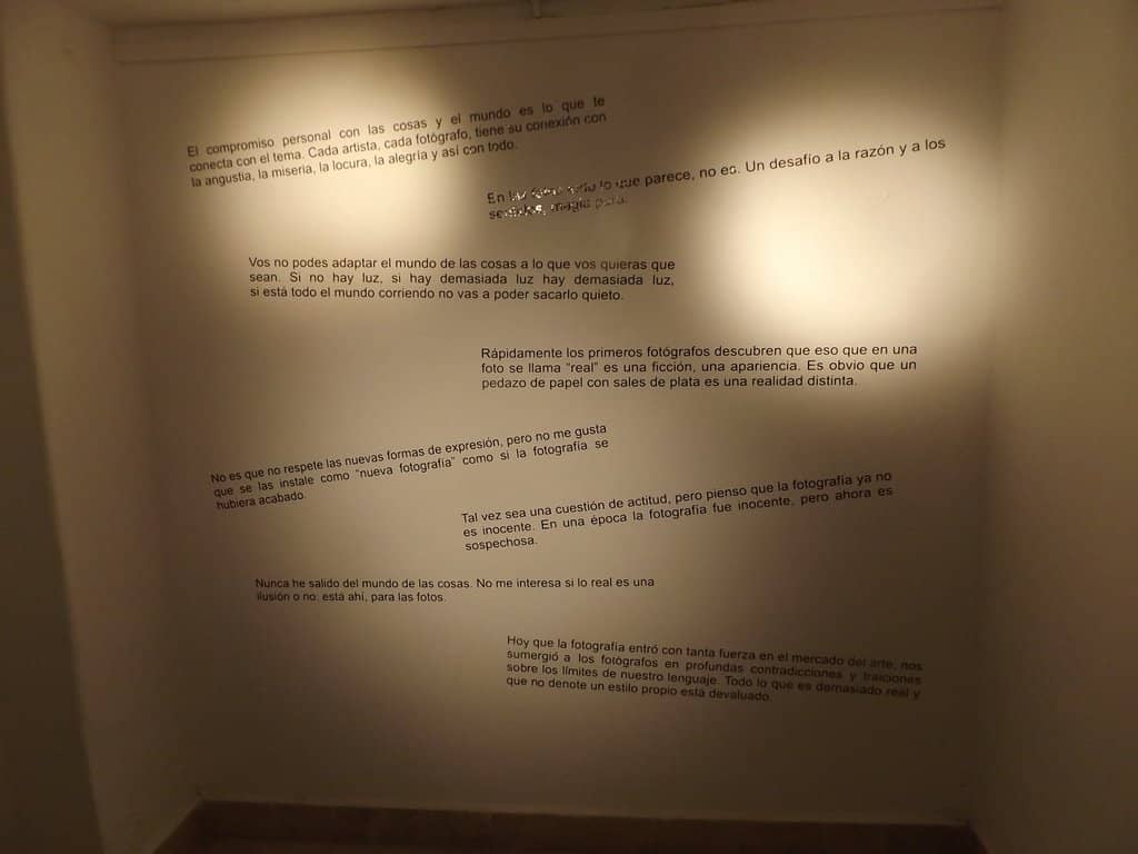 Local Artist Showcases
