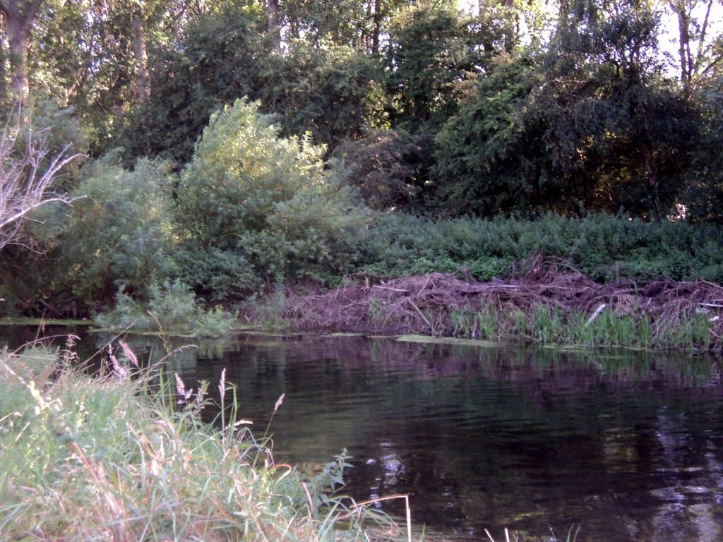 River View