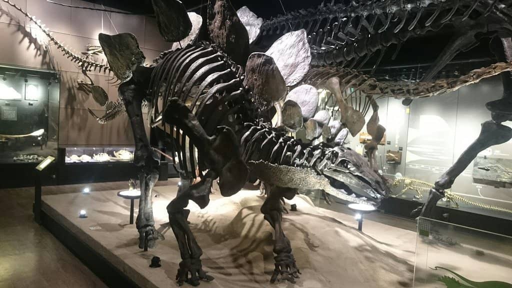Life-Size Dinosaur Models