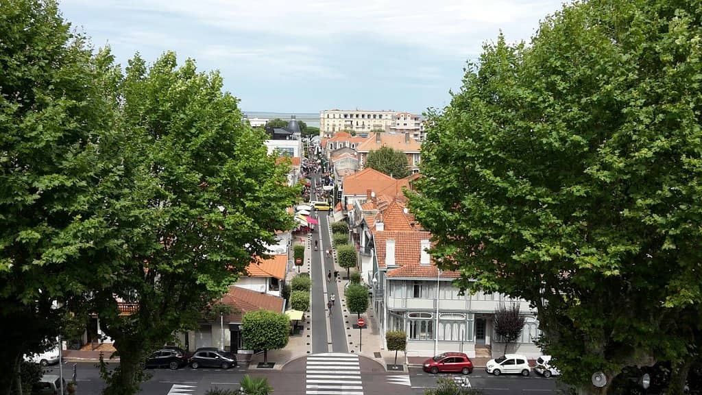 Belvedere Views