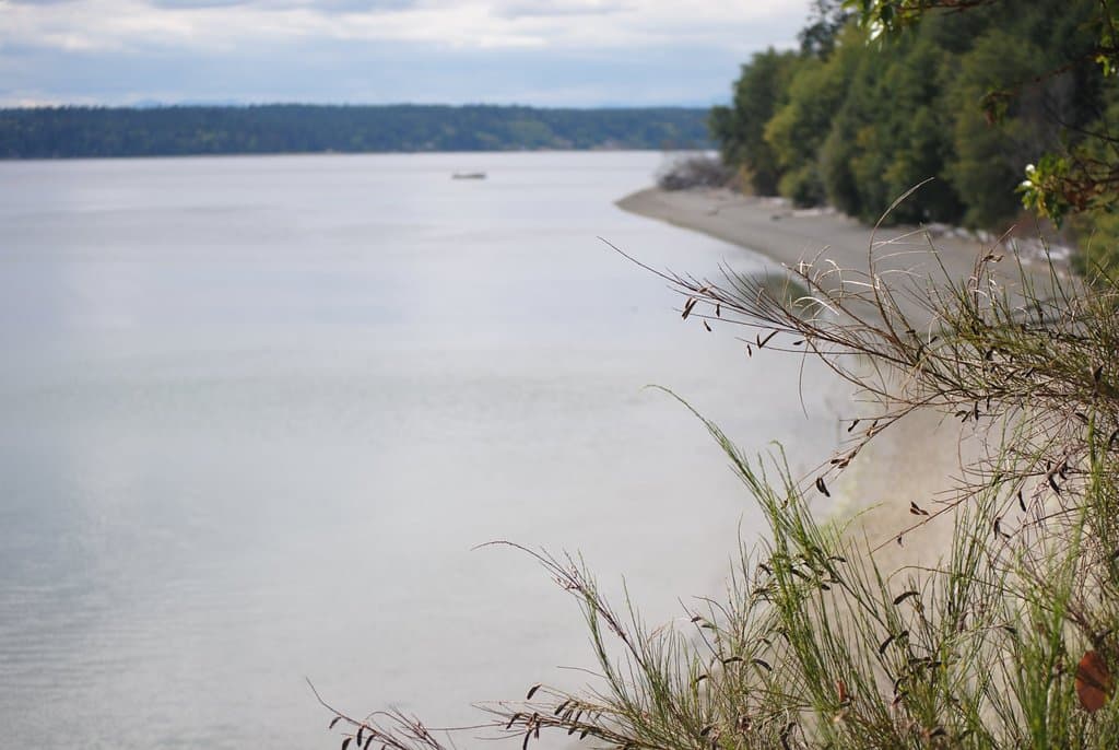 Joemma Beach State Park