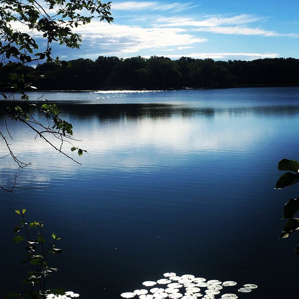 Cedar Lake