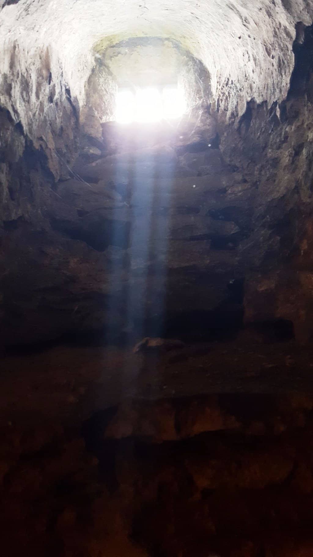 Enchanting Kitchen Garden