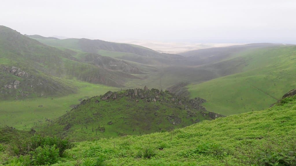 Lomas de Lachay Reserve Lima