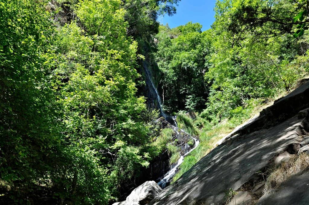 Vertical photo