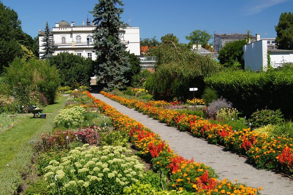 Ogród botaniczny w Krakowie