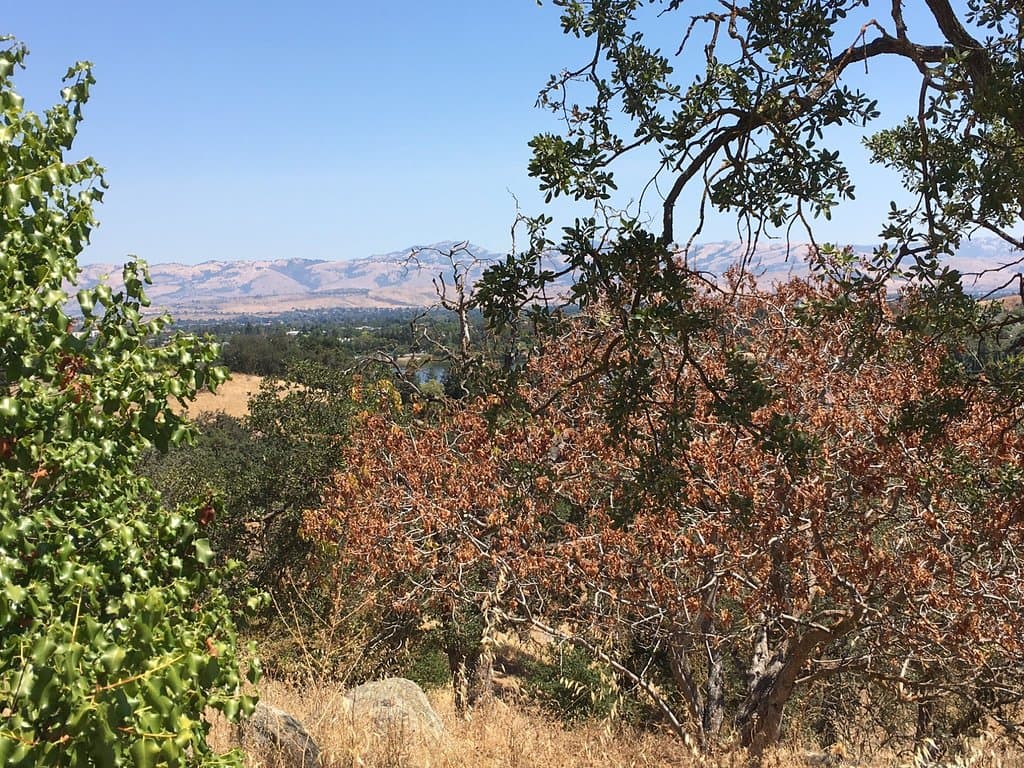 Blue dot in middle is Almaden Lake below