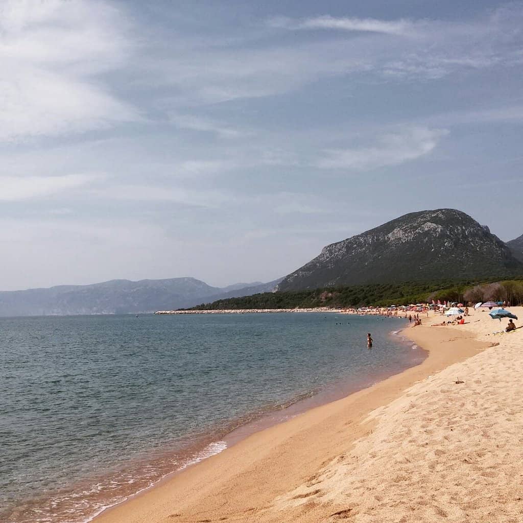 The Bluefish Beach Bar