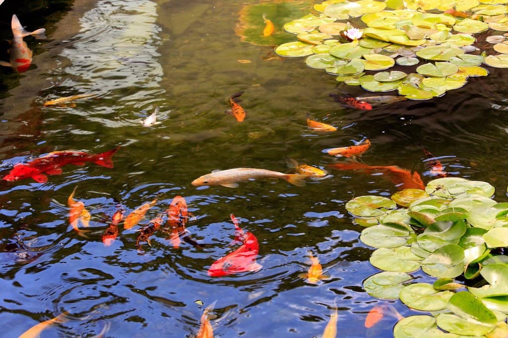 Illuminations Holiday Lights