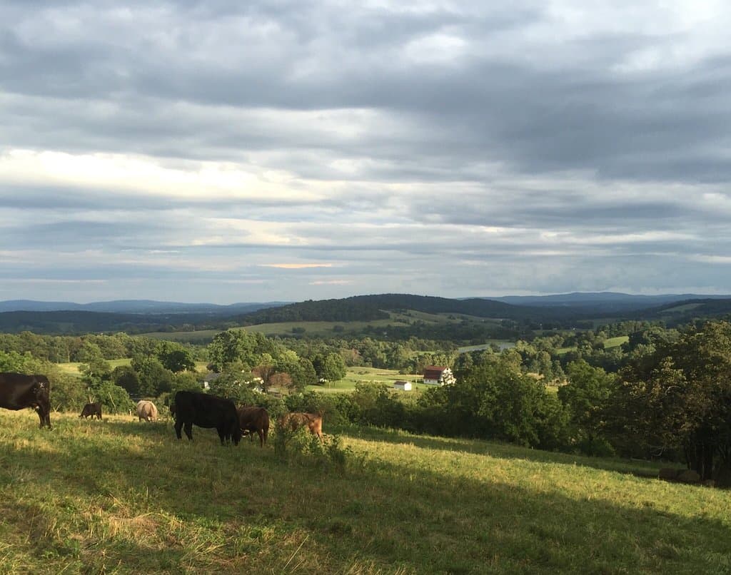 Sky Meadows State Park