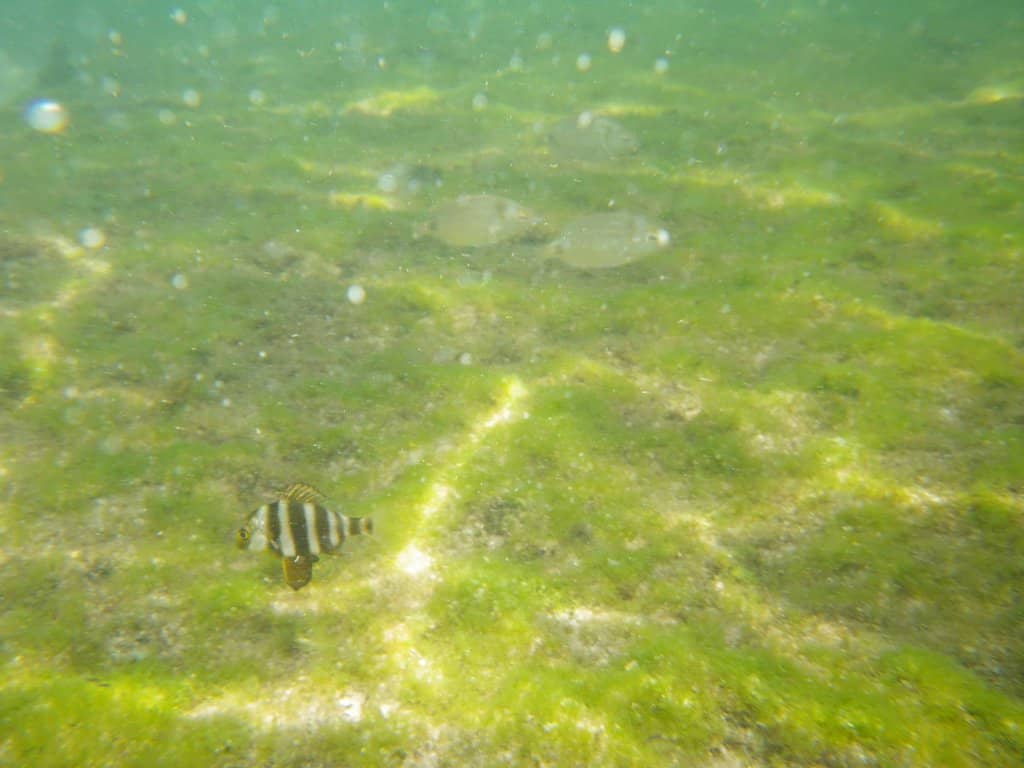 Crystal Clear Waters