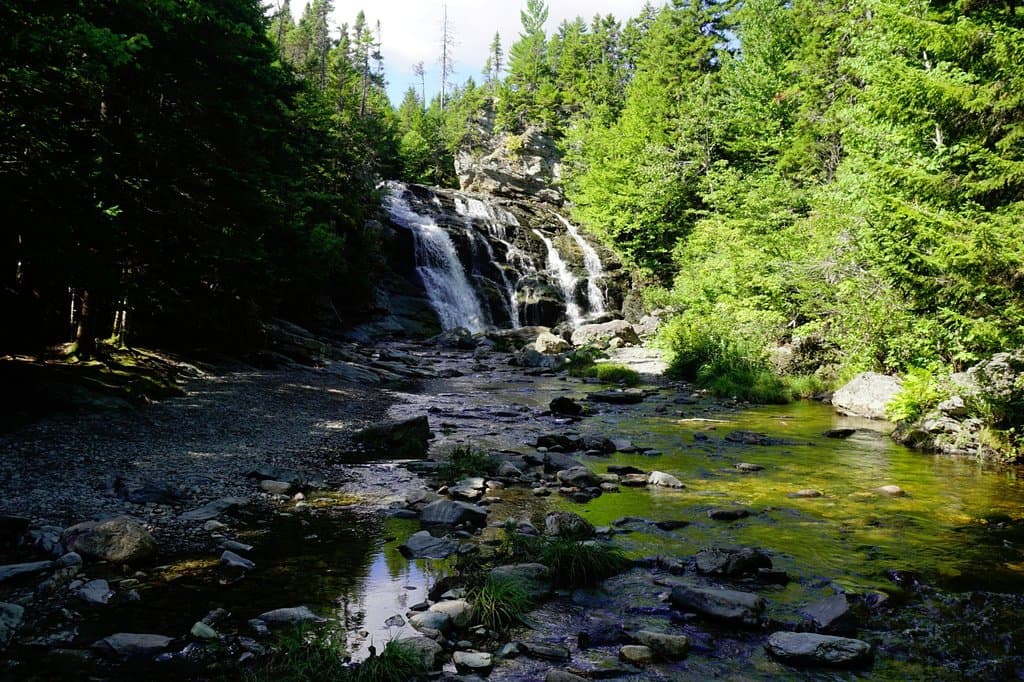 Laverty Falls