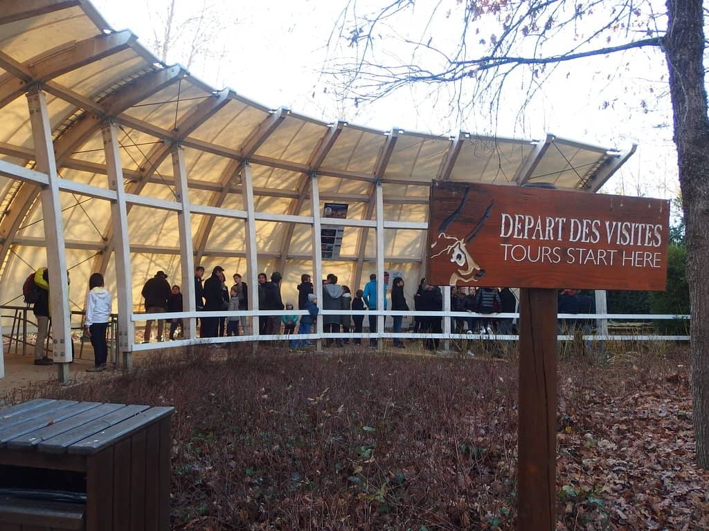 The 'Sistine Chapel of Prehistory'