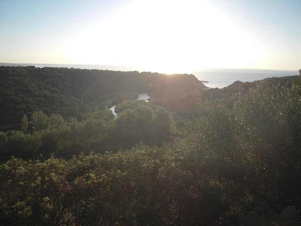 Gulf of Orosei Coastal Exploration