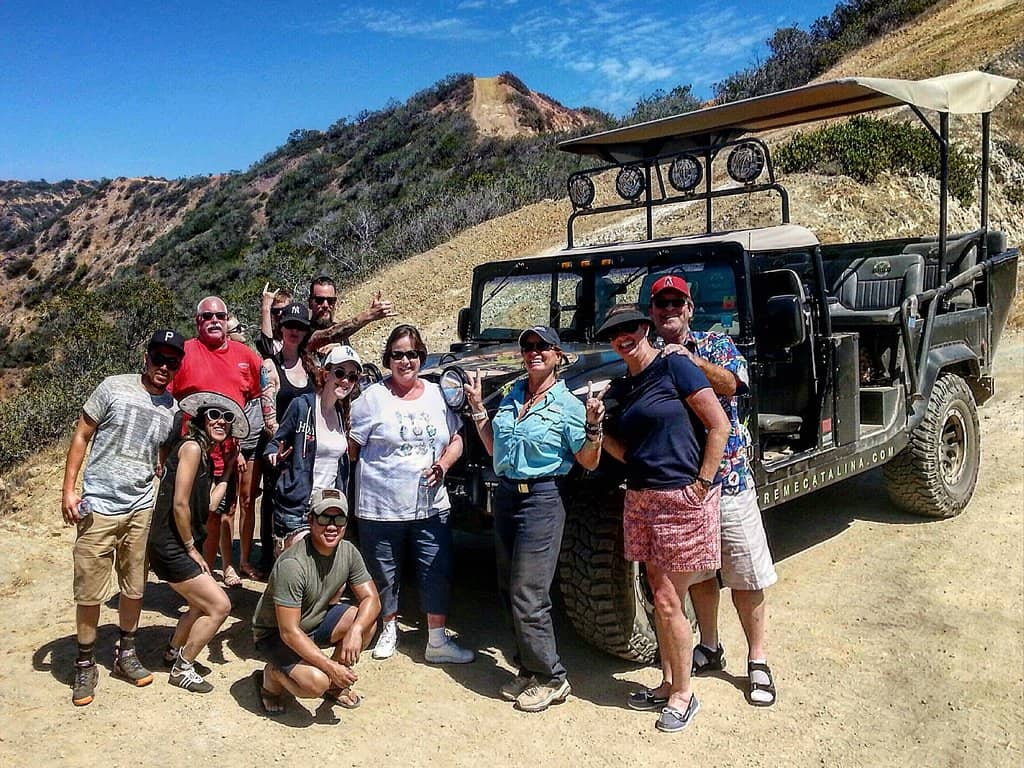 Catalina Bison Encounters