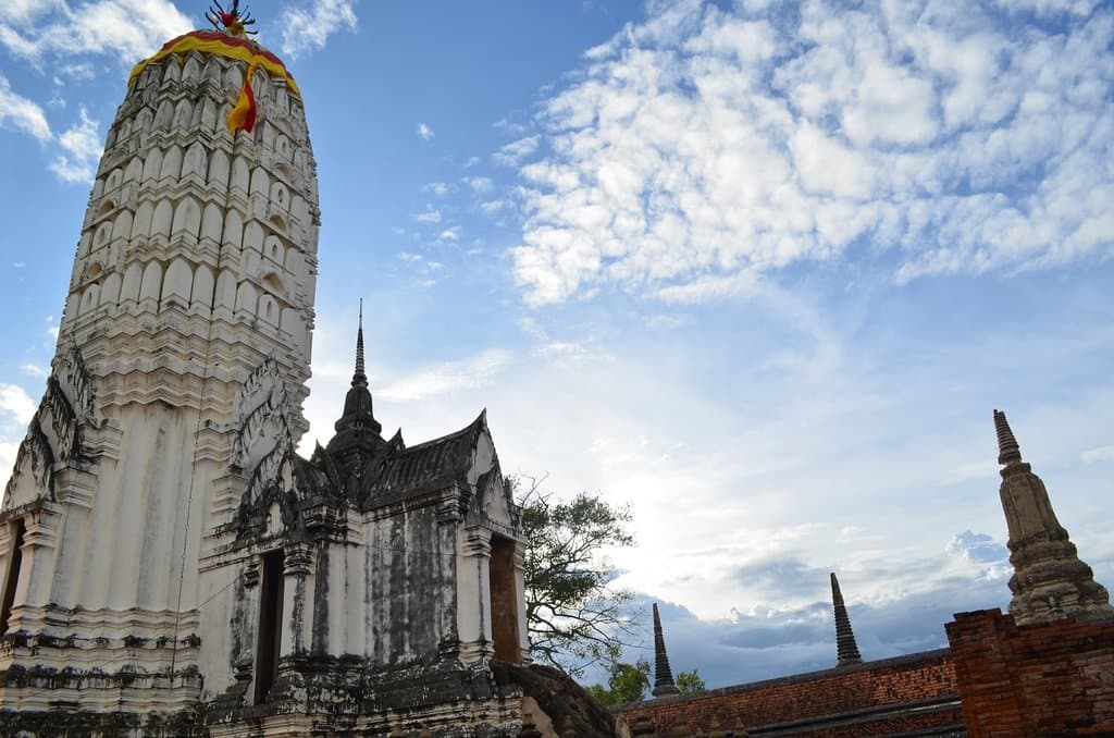 A big well-preserved white prang