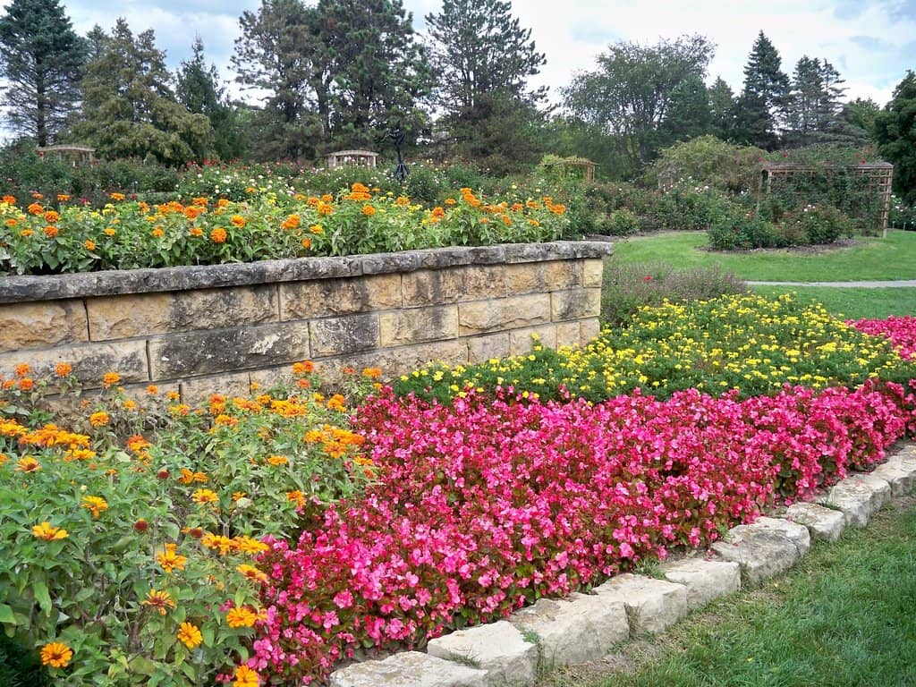 Rose Garden