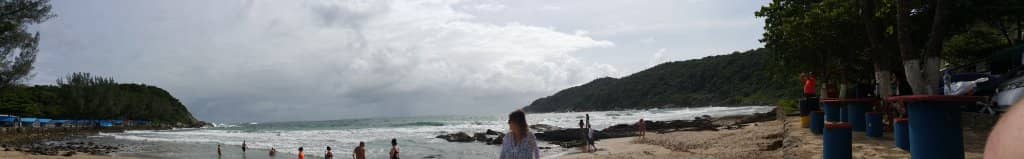 Lush Atlantic Forest Backdrop