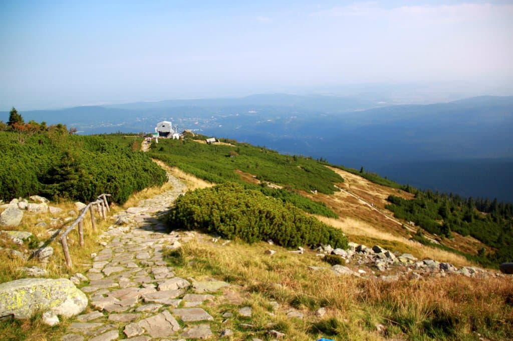 Szrenica