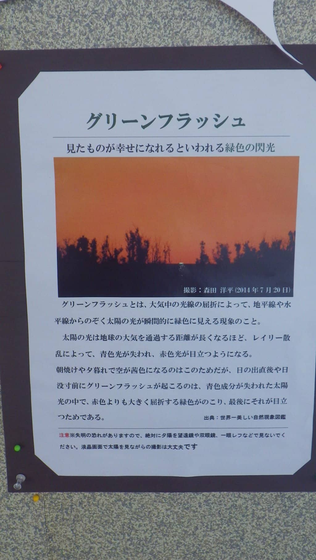 Coastal Life Exhibits