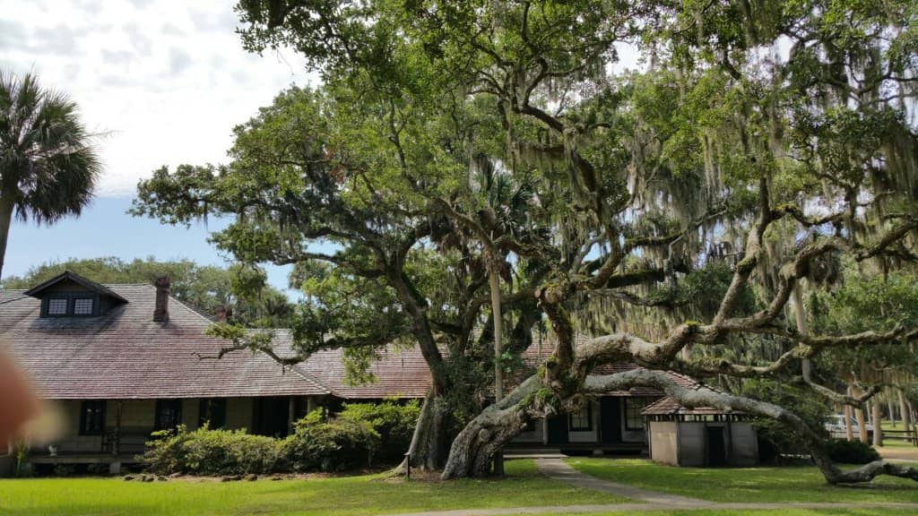 Artisan Well-Fed Pool