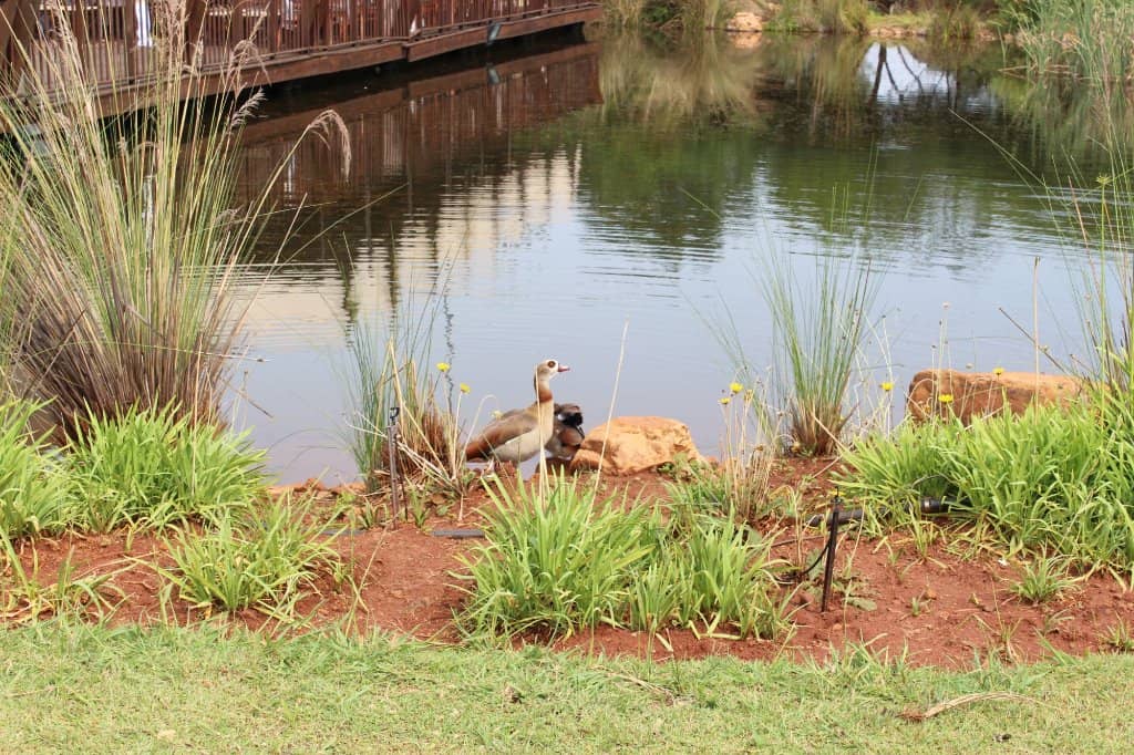 Sculpture Garden