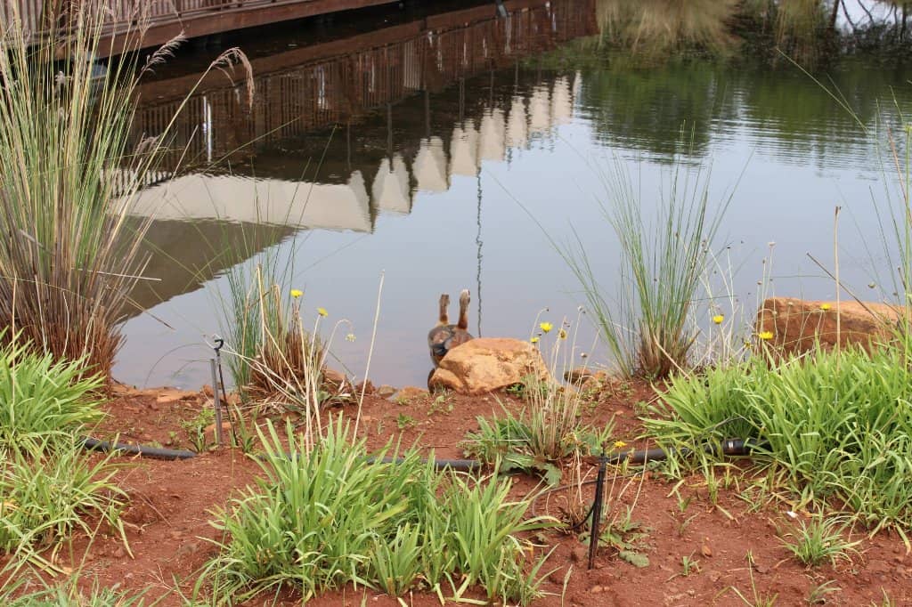 Waterfall & Hiking Trails