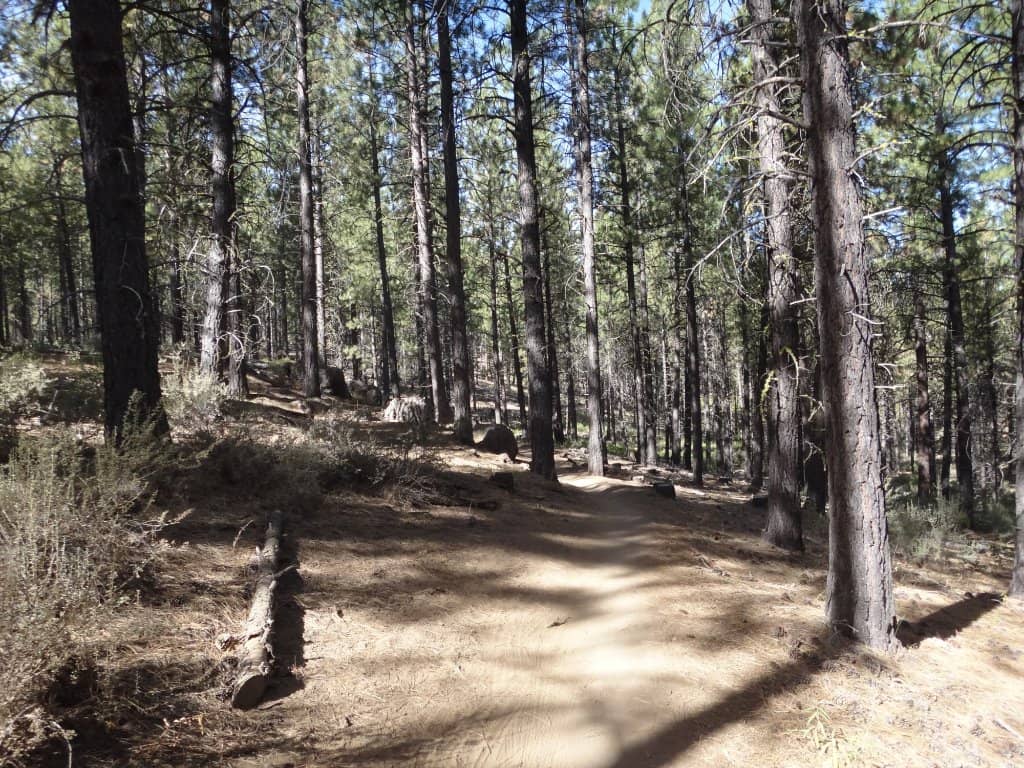 Phil's Canyon