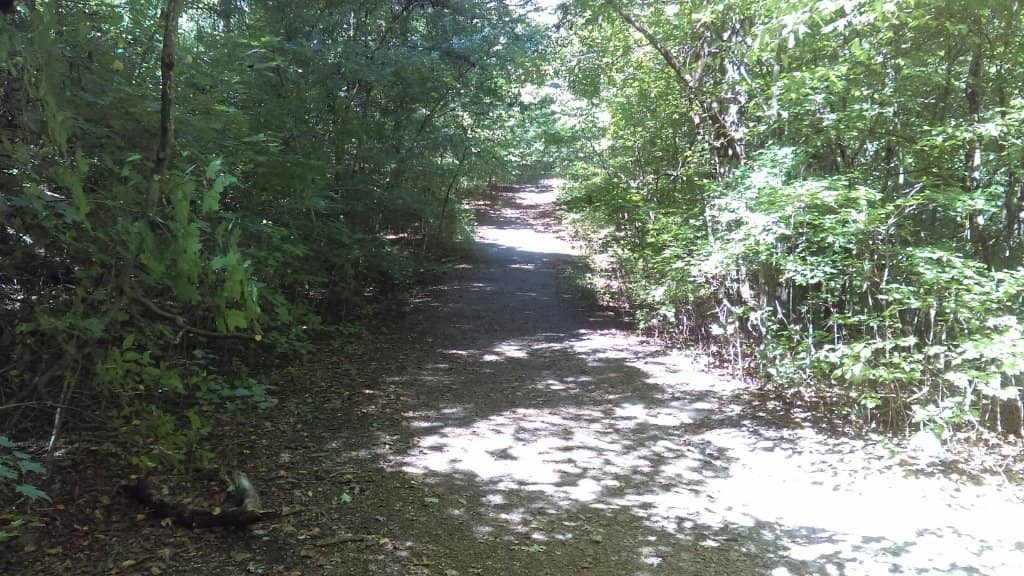 Historic Affricanna Town Site